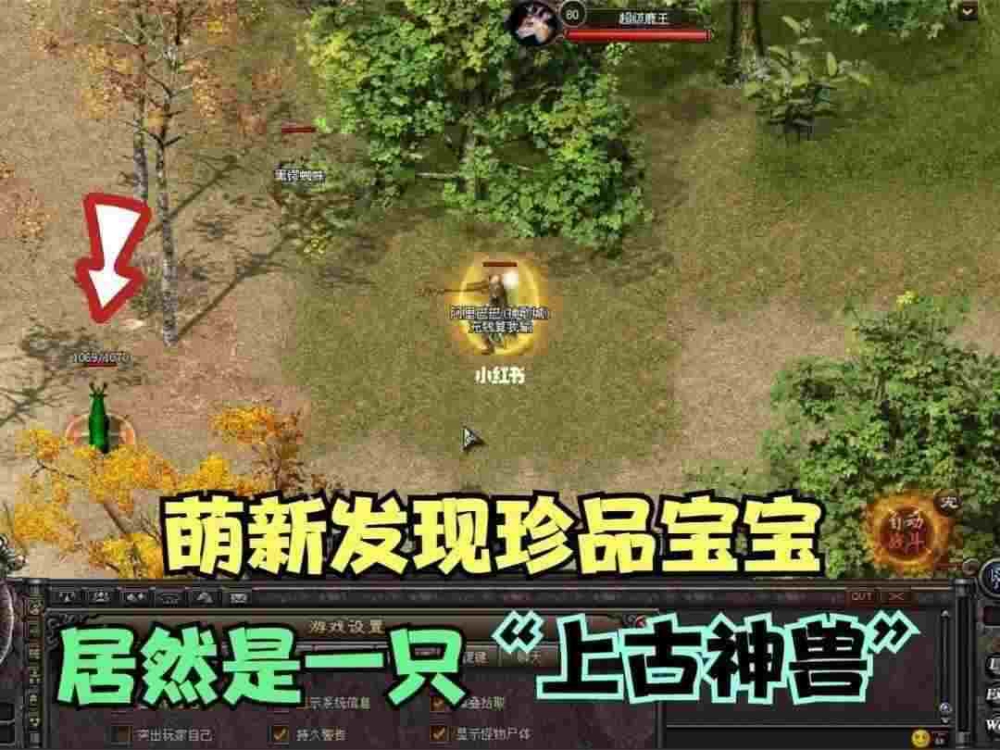 全新仿盛大合击版本之热血传奇去哪里泡点